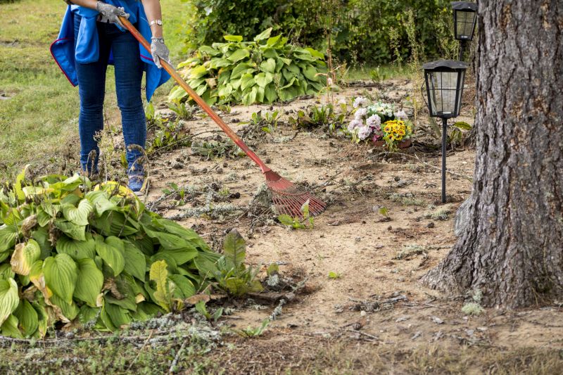 Contact About Slope Clearing