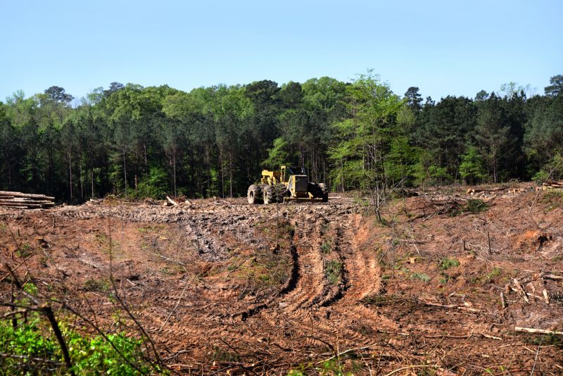 Improves land stability