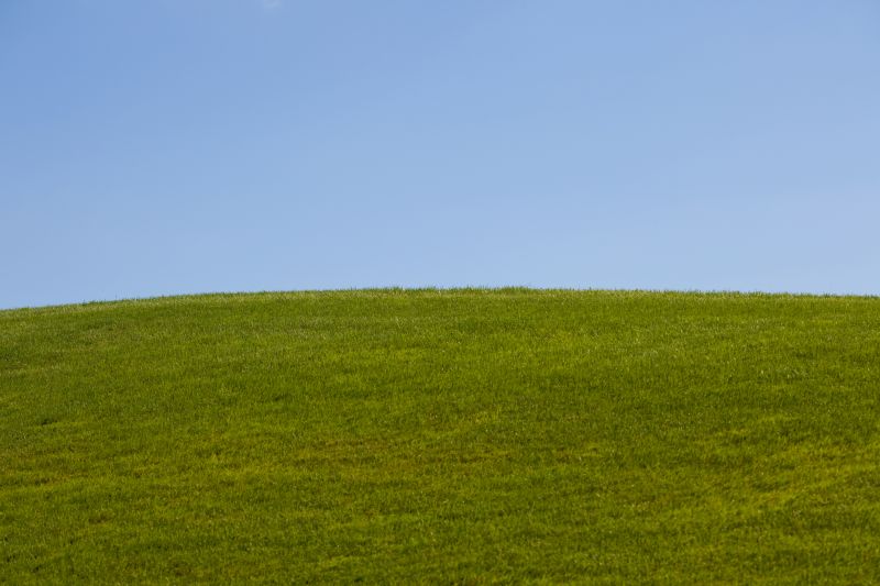 Slope Clearing