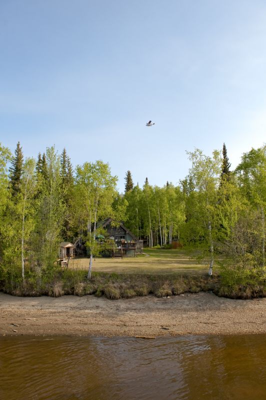 Lake Lot Clearing in Atlanta, GA