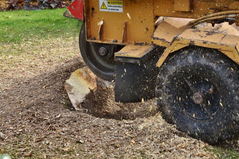Stump Grinding Process