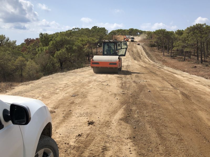 Road Grading in Houston, TX