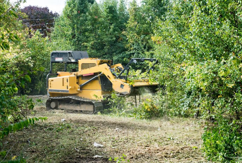 Slope Clearing in Gwinnett County, GA