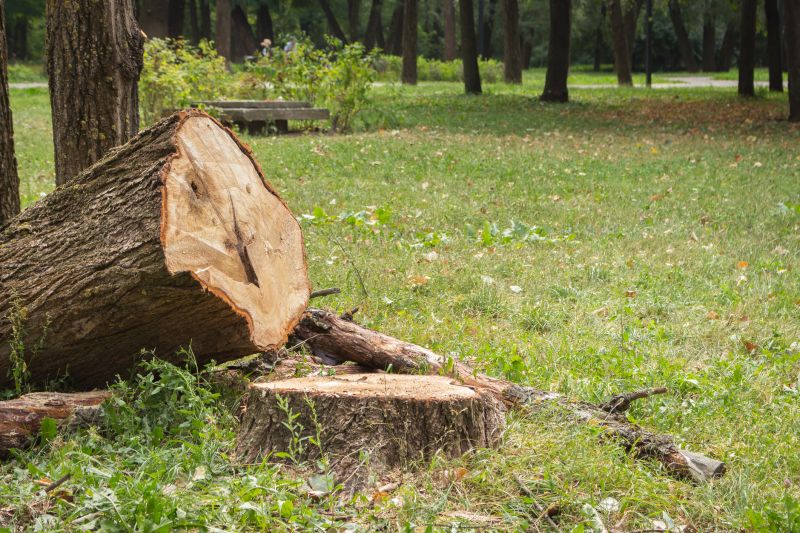 Tree Removal Service in Pottstown, PA